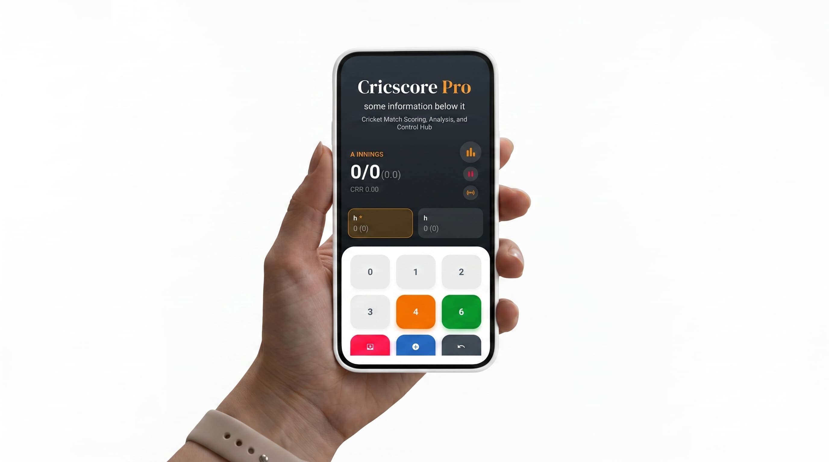 CricScore Pro cricket scoring application interface